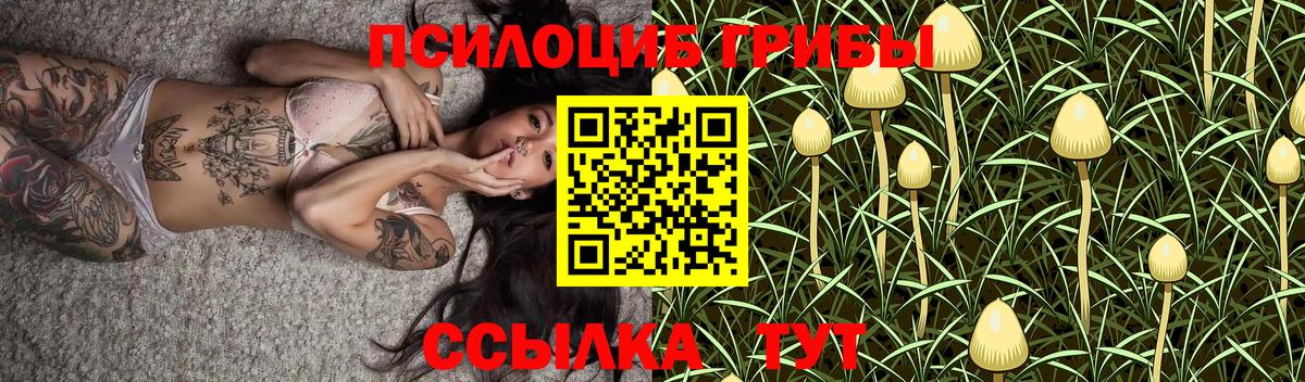 Галлюциногенные грибы прущие грибы Красноуфимск