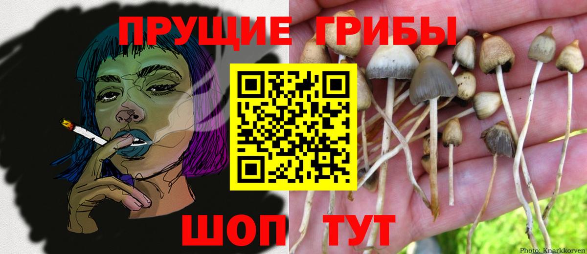 сколько стоит  Галлюциногенные грибы Magic Shrooms  Вход с VPN  Красноуфимск 